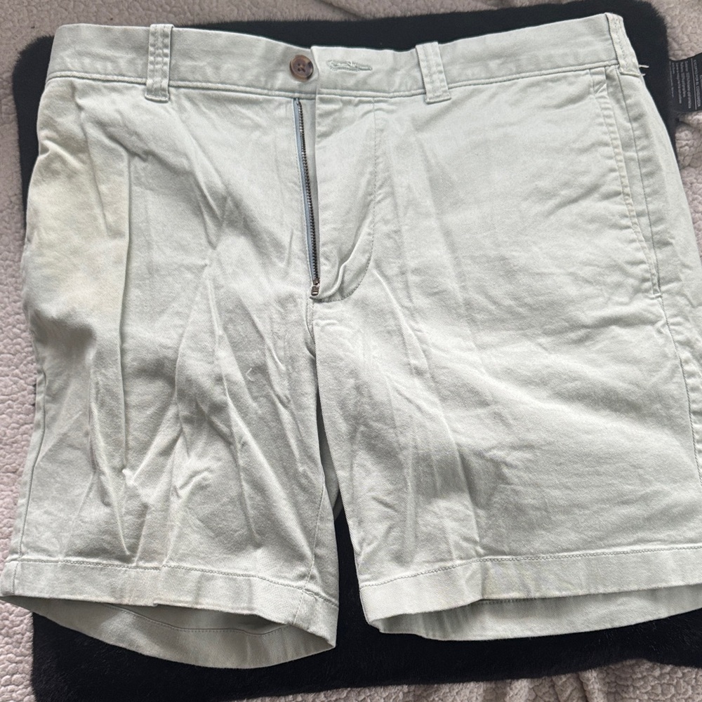 J. Crew Men's Light Green Flat Front Shorts